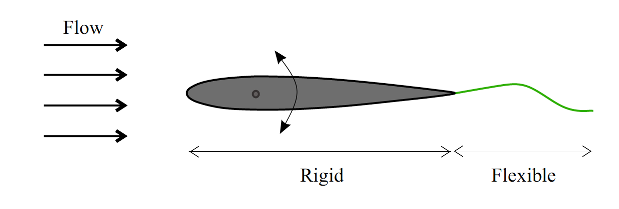 Flexible Foil Thrust Generation