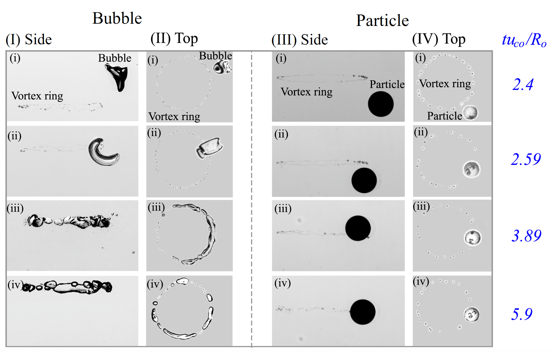 Rigid Particle and Bubble Comparison