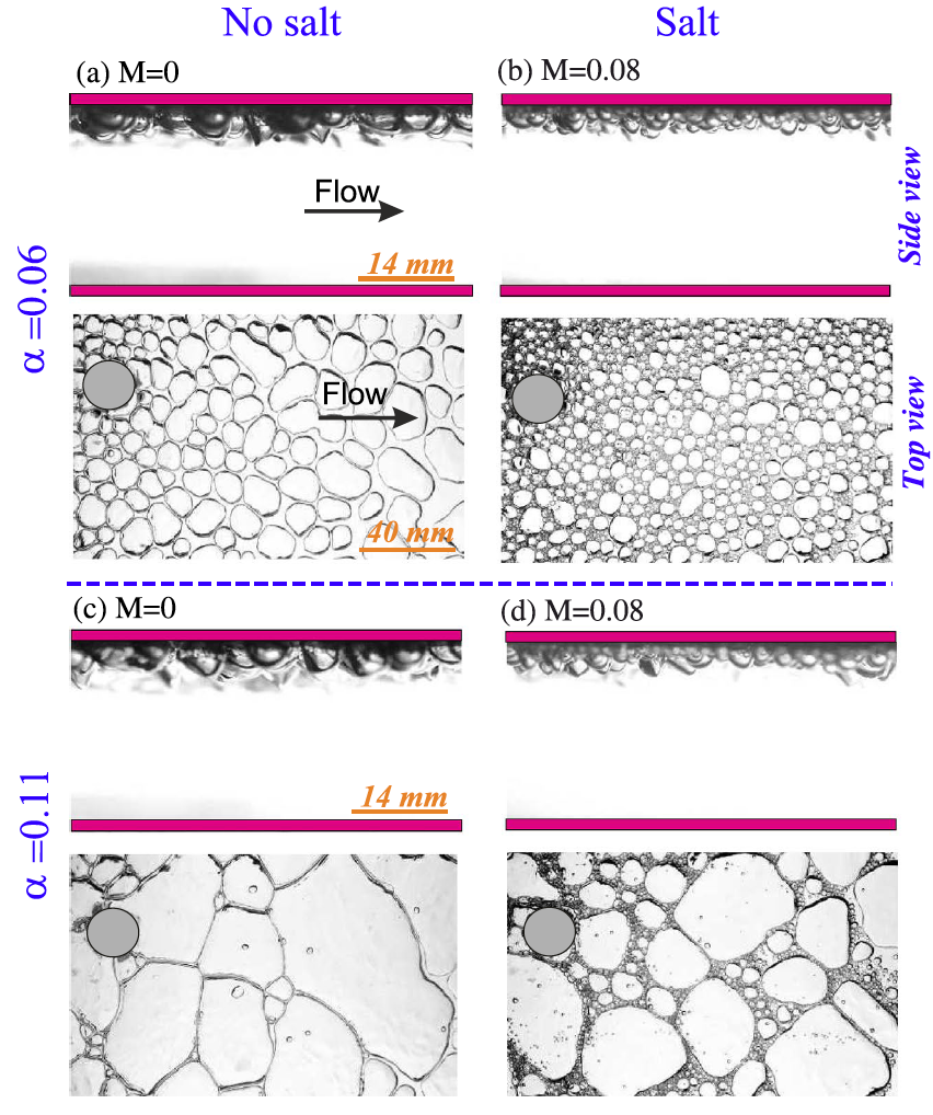 Salt Concentration Effects on Bubble Drag Reduction