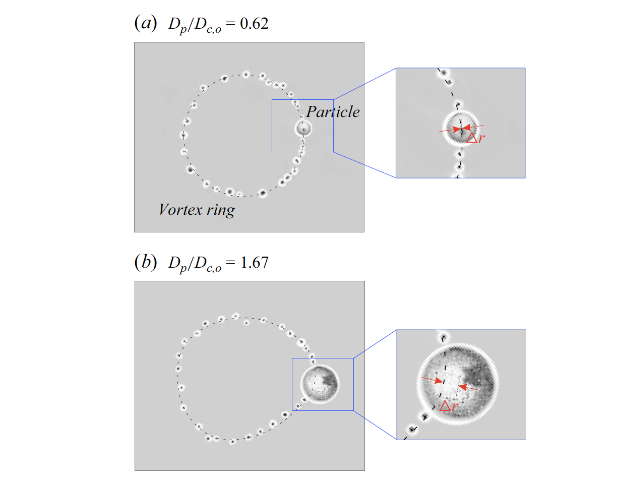 Rigid Particle and Bubble Comparison